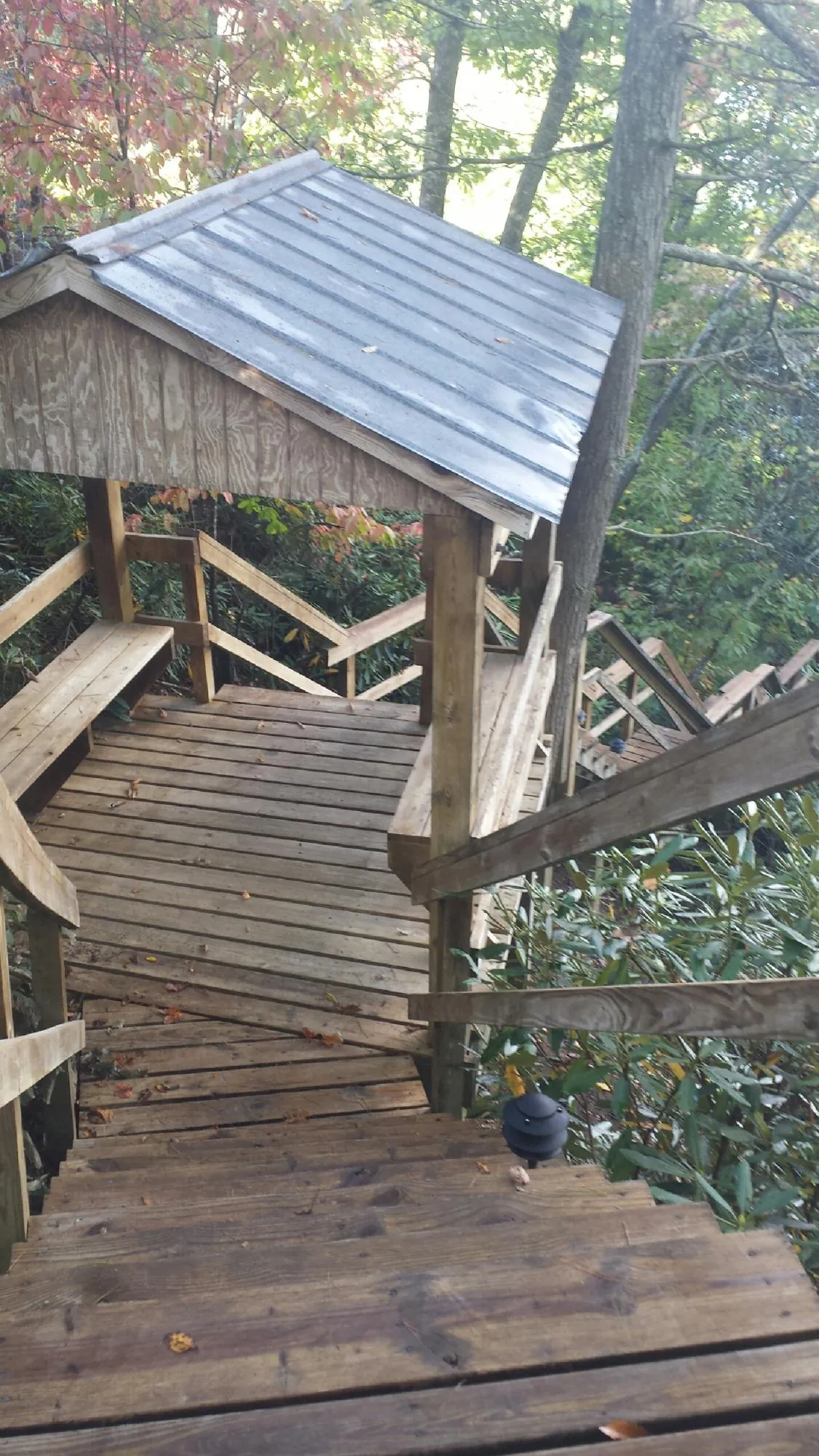 Metal roofed shelter over wooden steps on a wooded walkway — Skylight Repair & Installation work by our crew in Elloree